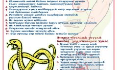 Могойд хатгуулсан хүнд ямар тусламж үзүүлэх вэ