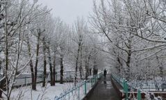Цас орж, цасан шуурга шуурч хүйтрэхийг анхааруулж байна