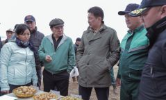 Газар тариалангийн салбарт гаргасан бодлогын дэмжлэгүүдийн үр дүнд тариалалт эрс нэмэгджээ