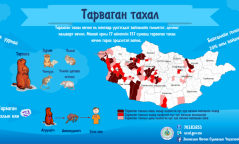 Анхаар: Тарваган тахал өвчнөөс хэрхэн сэргийлэх вэ?