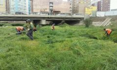 6,4 тонн хог хаягдал, хөл газрын ургамлыг цэвэрлэжээ
