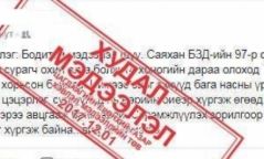 Хүүхэд контейнерт хорьсон гэх мэдээлэл худлаа гэв