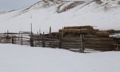 ХХААХҮ-ийн сайд орон нутагт сэрэмжлүүлэг хүргүүллээ