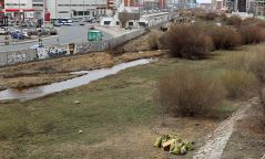 Туул гол дагуу Сэргээн засах төв хүртэлх талбайг цэвэрлэв