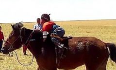 2 настай хүүхдээр морь унуулж уралдуулсан эцгийг 100 мянган төгрөгөөр торгожээ