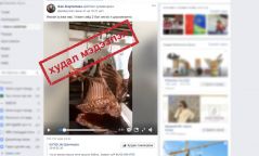 Худал мэдээлэл түгээсэн иргэнд хуулийн хариуцлага хүлээлгэнэ
