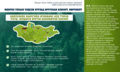 Инфографик: Монгол Улсын Үндсэн хуульд оруулсан нэмэлт, өөрчлөлт