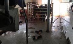 Эмээлт зах дээр гар аргаар нядалгаа хийдэг байсан газруудыг хаажээ
