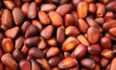 Самрын тусгай зөвшөөрөл олгохдоо хахууль авсан хэргийг шүүхэд шилжүүлжээ