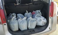Найман уут мансууруулах төрлийн ургамал тээвэрлэж явжээ