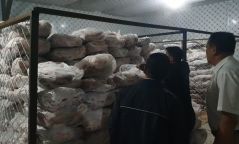 Ариун монгол мах компани бохир нөхцөлд, гарал үүсэл нь тодорхойгүй мах бэлтгэж байжээ