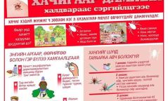 Анхаар: Хачгийг шууд гараараа авч болохгүй