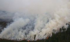 Сэлэнгэ аймагт ойн түймэр гарч 6.5 га талбай шатжээ