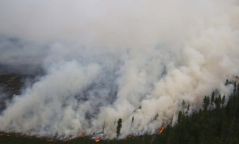 Ой хээрийн түймэрийн улмаас  568,6 мянга га талбай түймэрт өртжээ