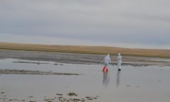 Завхан аймгийн Дөрвөлжин сумын Бага нуурын ус болон хөрсөнд шинжилгээ хийжээ