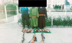 Хууль бусаар тарвага агнасан этгээдүүдийг илрүүлжээ