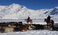 Баян-Өлгийн зарим суманд өвөлжилт хүндэрч болзошгүй байна