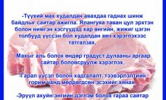 Гахайн мах хэрэглэхдээ юуг анхаарах вэ?