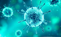 Коронавируст халдвар хэрхэн дамждаг вэ?