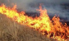 Сэлэнгэ аймгийн Ерөө суманд гарсан ойн түймрийг унтраахаар ажиллаж байна