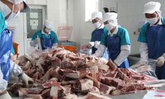 Нийслэлчүүдийн ирэх хаврын хэрэглээнд зориулж 20,000 тонн мах нөөцөлнө