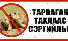 Хоёр тарвага агнасан иргэнийг 150 мянган төгрөгөөр торгожээ