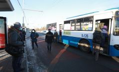 94 чиглэлд 623 автобус нийтийн тээврийн үйлчилгээ үзүүлж байна
