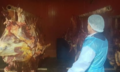 Мал нядалгааны хоёр аж ахуйн нэгжийг торгожээ
