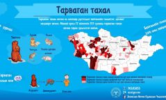 Анхаар: 17 аймгийн 137 суманд тарваган тахал гарах эрсдэлтэй байна