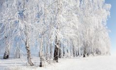 Өнөөдөр нутгийн зүүн хэсгээр цас орж, цасан шуурга шуурахыг анхааруулж байна