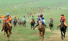 Морь дагасан замыг аялал, жуулчлал бусад спортын уралдаан тэмцээнд ч мөн ашиглана гэв