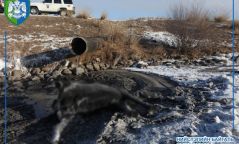 "ДЦС-III" ТӨХК нь Туул голын далан давуулан үнс зайлуулсан усаа хаяж байжээ