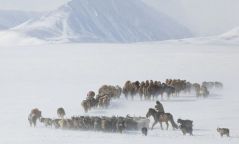 Өнөө маргаашдаа нутгийн зүүн хагаст цас орж, явган шуурга шуурч, хүйтэн хэвээр байна