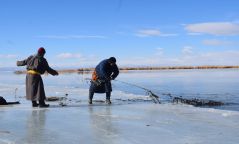 Хууль бусаар агнахаар тавьсан зургаан торноос 113 загасыг нууранд нь буцаан тавьжээ