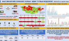 Улсын хэмжээнд шүлхий өвчний халдвартай 43.011 мал байна