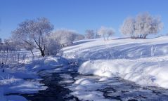 Зарим нутгаар -41-46 градус хүрч хүйтэрнэ