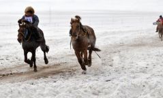 Өвлийн улиралд хурдан морины уралдаан зохион байгуулахыг хориглолоо
