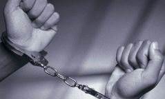 2415 хүнийг 7-30 хоногоор баривчилж шийтгэжээ