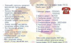 Томуу, томуу төст өвчний үед гэрээр авах арга хэмжээ