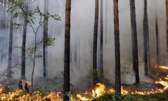 Хөвсгөл аймгийн Цагаан-Үүр суманд гарсан түймэр унтраагүй байна