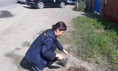Улаанбаатар хотын хөрсөнд цацрагийн хяналт шинжилгээ хийжээ