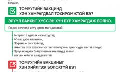 Томуугийн вакцинд нийт 54.000 хүн хамрагджээ