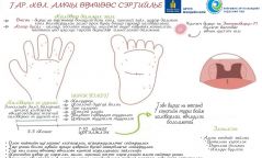 Гар, хөл, амны өвчнөөс сэргийлье