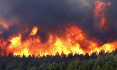 Он гарсаар 48 удаагийн ой хээрийн түймэр гарчээ