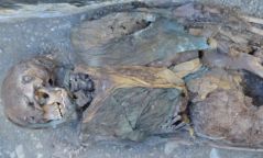 Монгол судлаачид 2000 жилийн настай муммийг олжээ