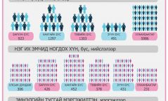 Инфографик: Монгол Улсад 10 мянган их эмч ажиллаж байна