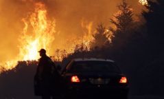 Калифорни мужид гарсан аймшигт түймэрийн улмаас 40 гаруй хүн нас баржээ