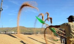 Тариалангийн компаниудад 211 сая төгрөгийн нөхөн төлбөр олгоно