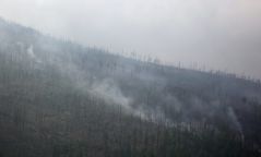 Хэнтий аймагт 163 удаа ой хээрийн түймэр гарчээ