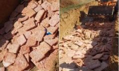Муудсан 25 тонн тахианы махыг устгажээ